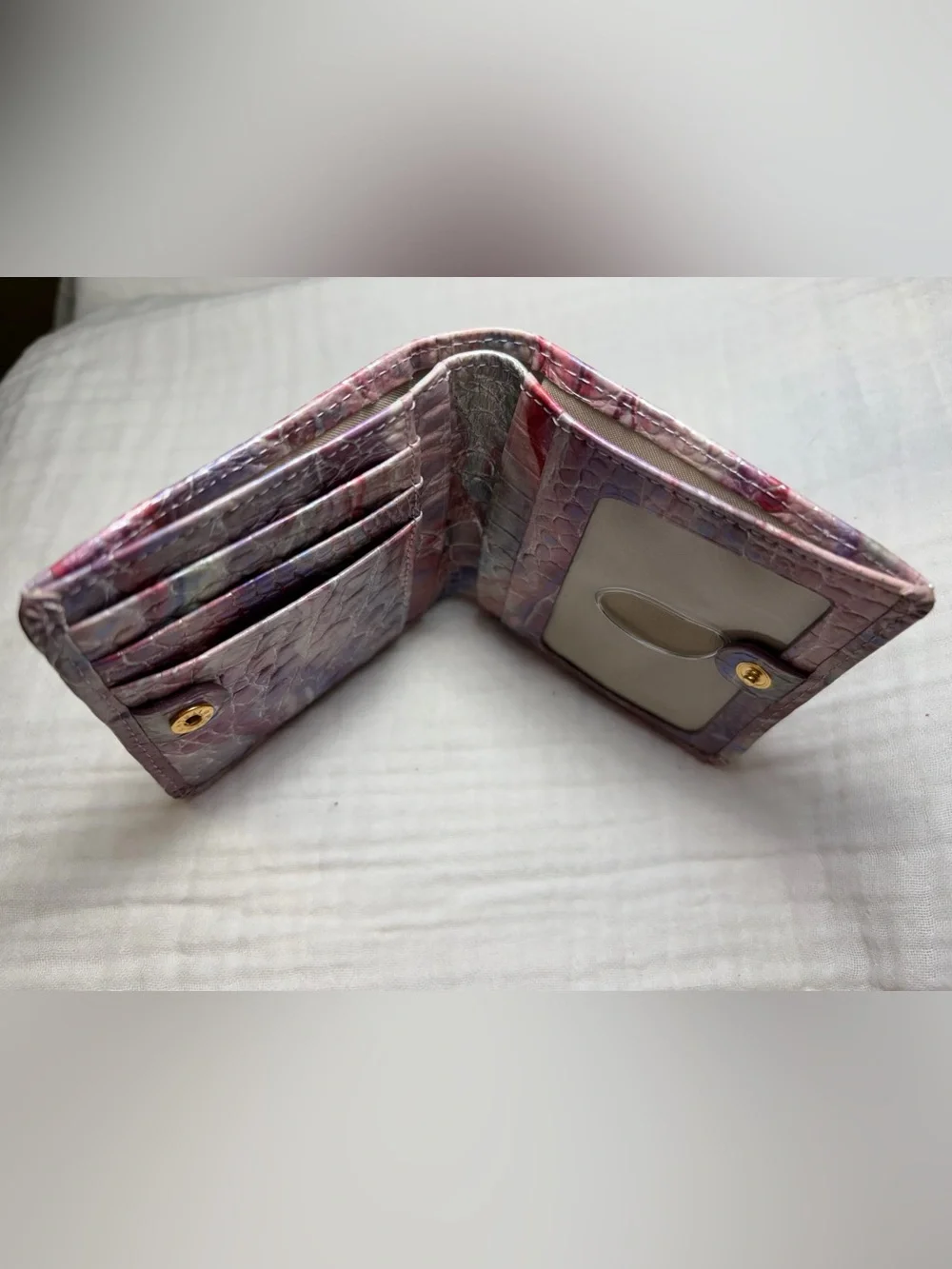 Brahmin this jane